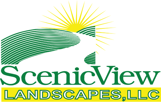 Transforming Landscapes into Scenic Views