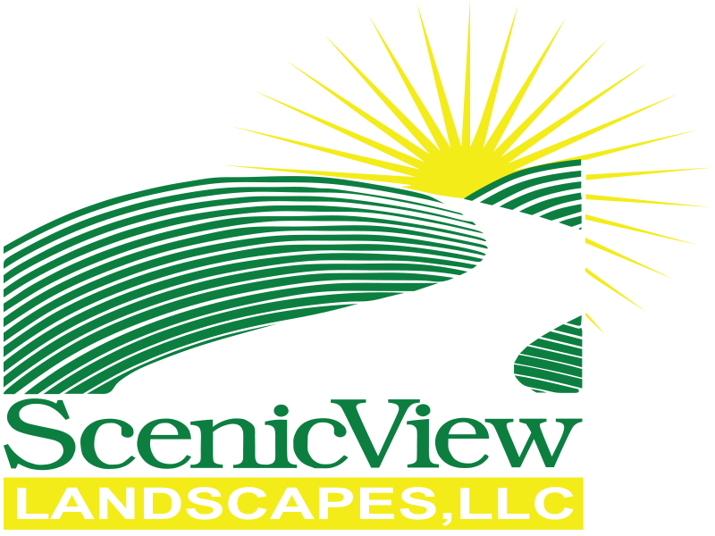 Scenic View Logo New